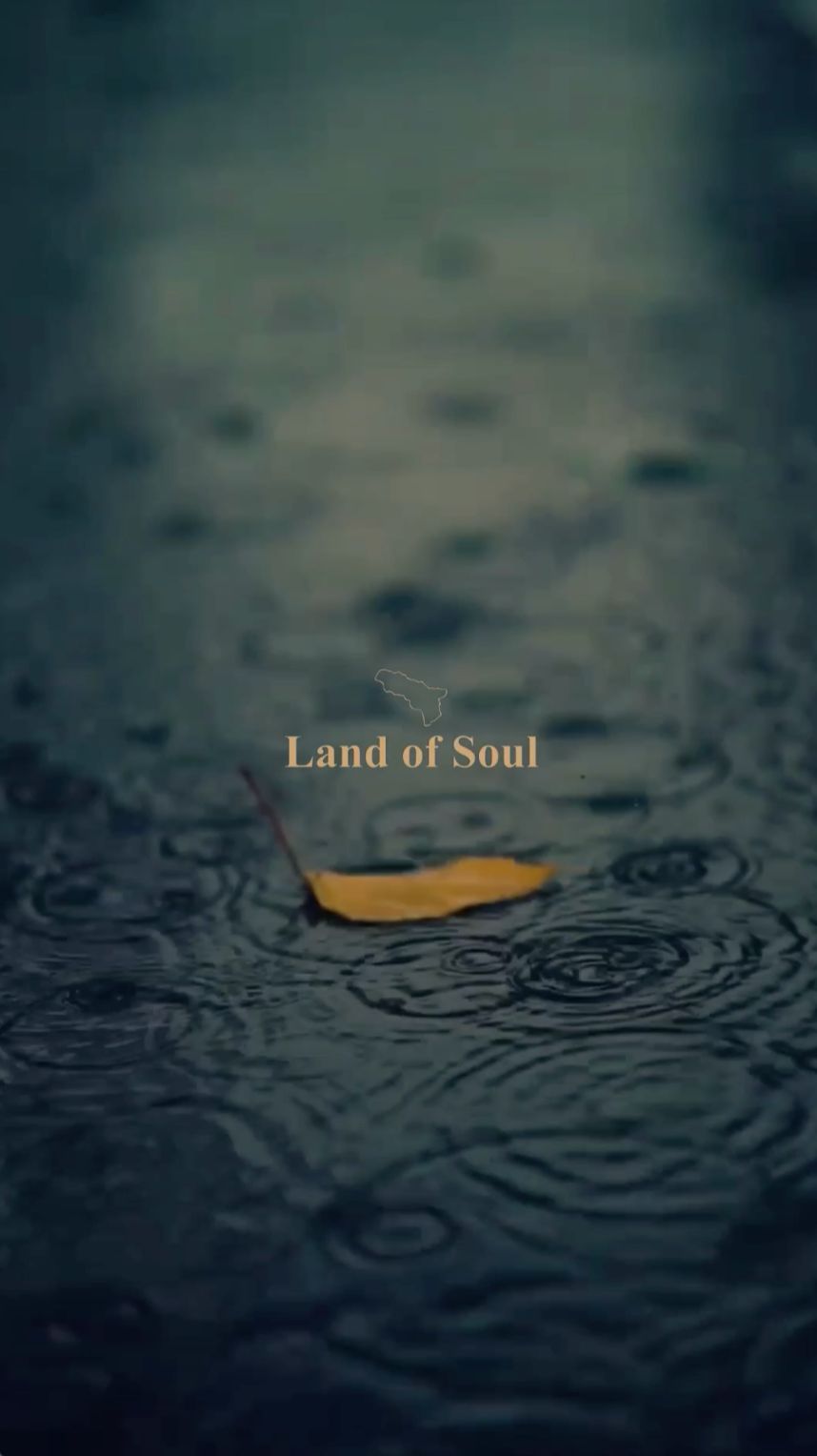 Льет дождь. LOS