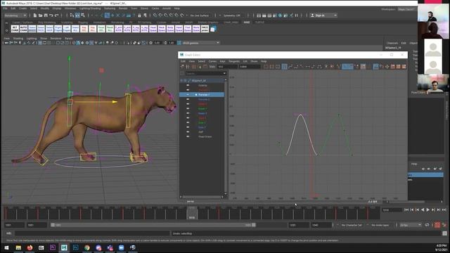 2. Big Cats - Lion Walks