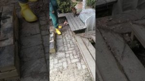 Прогулка по саду