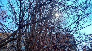 АПРЕЛЬСКОЕ УТРО