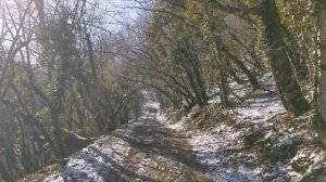 Дольмены горы Нексис, Геленджик, х.Широкая щель