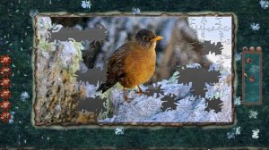 Pixel Puzzles 2: Birds #12