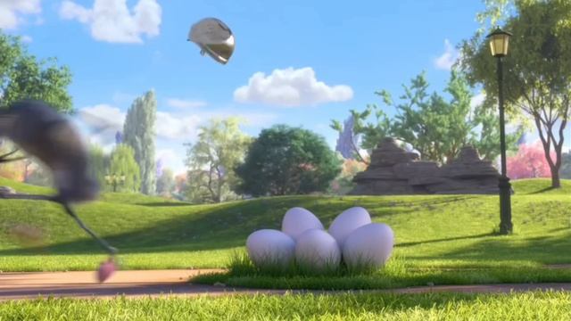 Солнечные зайчики