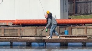 Поимки форели !!!