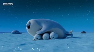 Season 1 Full Episodes Binge from Ep.1 SEALOOK Official