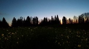 С. Есенин. Вот оно, глупое счастье...