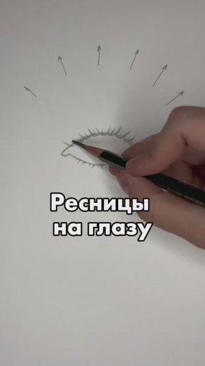 Ресницы