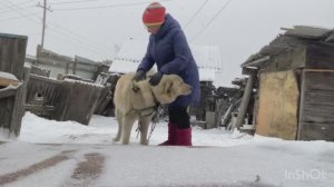 Весь день бесились с Кузей