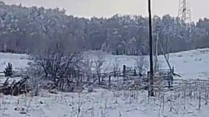 Сказочный лес!