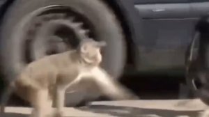 В хозяйстве пригодится