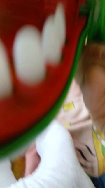 крокодило сбомбордило