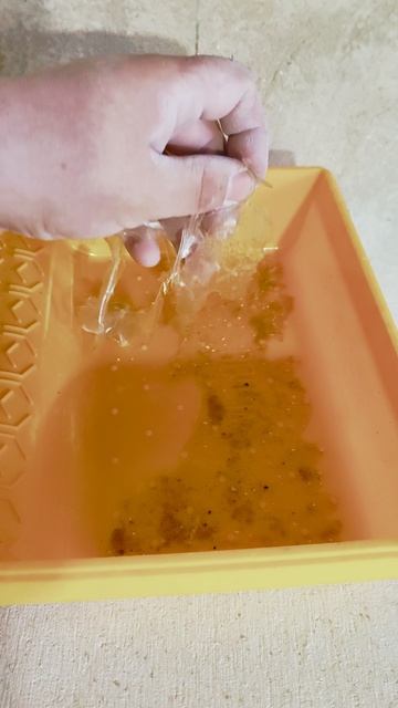 Всё что нужно знать о грунтовке Юнис UP18