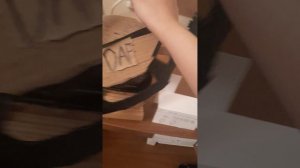 поездка на картонной фуры