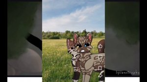 Реакция на сью, рокси с мятным чаем! 
В КОНЦЕ САМЫЙ ТРЕШ!