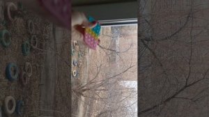 долгожданный влог с кошками у бабушки