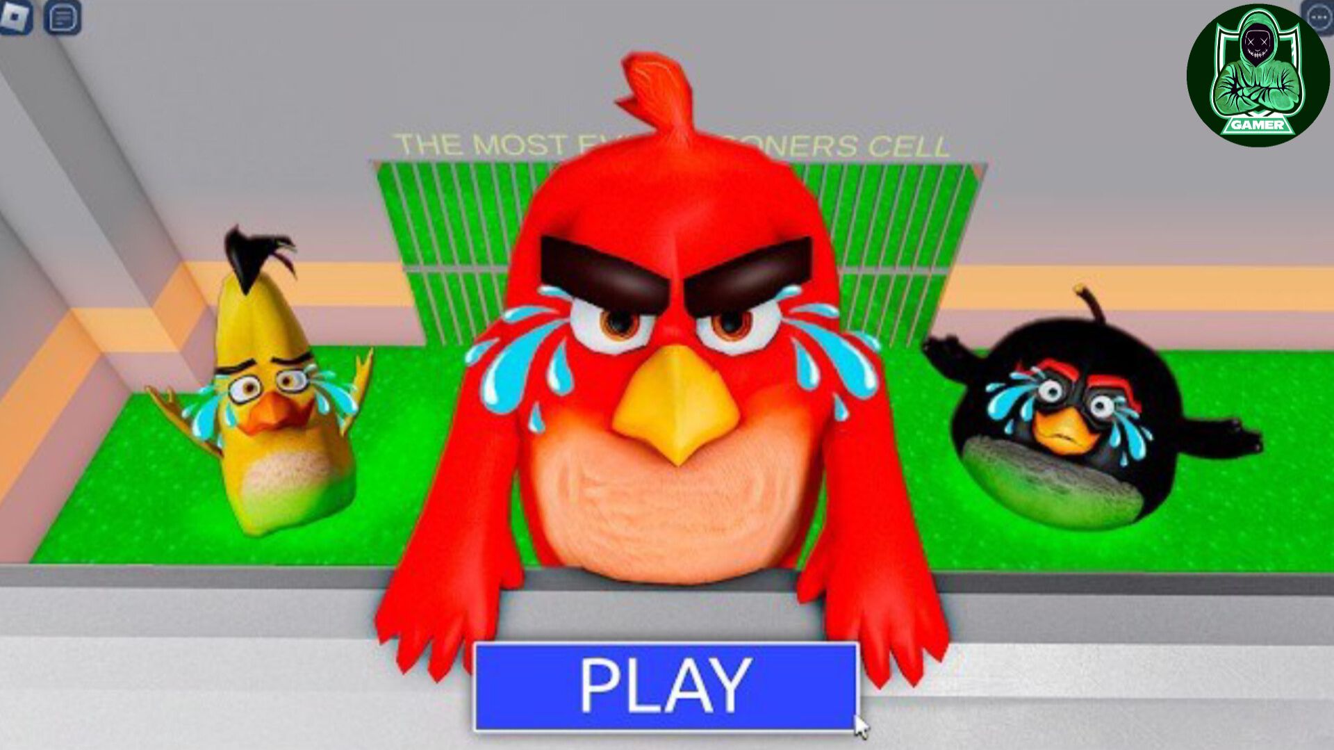ANGRY BIRDS! РЕДУ из TOXIC НУЖНА ПОМОЩЬ! БАРРИ СБЕЖАЛ ИЗ ТЮРЬМЫ! #roblox #obby