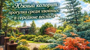 - 🌲 «Южный колорит: прогулка среди хвойных в середине весны».