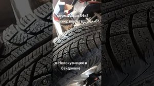 стажор обучается