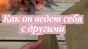 Как он ведет себя с другими 💐🕺🍒Таро