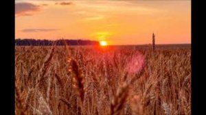 ОЙ ТЫ СТЕПЬ ШИРОКАЯ