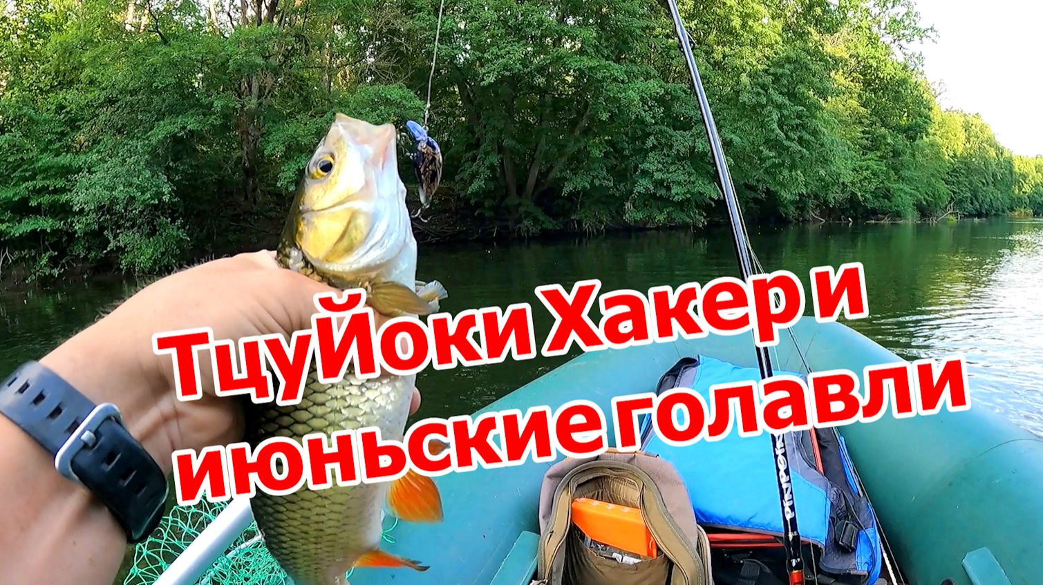 Ловля голавля кренками в середине июня