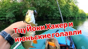 Ловля голавля кренками в середине июня