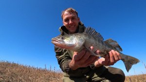 УДАР ЗА УДАРОМ, ЖОР СУДАКА, УСТАЛ ПОДНИМАТЬ. Рыбалка на джиг с берега. Ловим судака с берега.