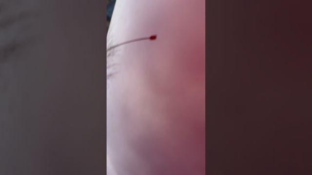 Трейд-ин Nissan Qashqai 2.0 2014 год бордовый