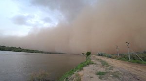 Вечерняя Рыбалка в ПЫЛЕВУЮ БУРЮ! Природа показала, кто тут хозяин! Моё средство от мошки!