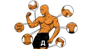 Как калистеника изменит ТВОЁ тело?