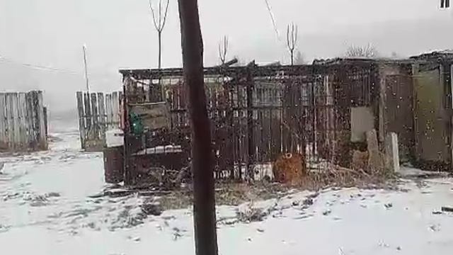 Новость дня!