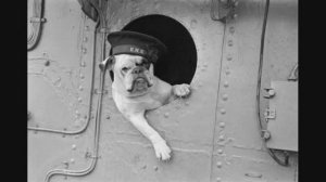 Alex Paclin - в Кейптаунском порту