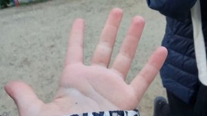 Гуляем с Васей Басей часть 2)))✨✨