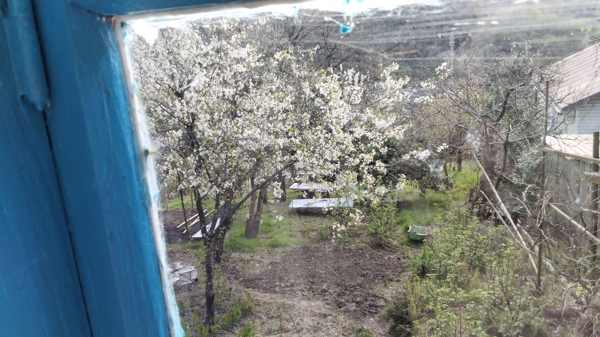 Навестили родных