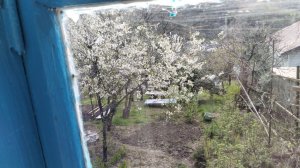 Навестили родных