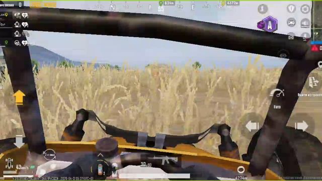играю в Pumg Mobile