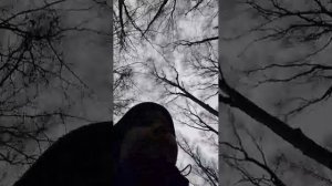 монстриксы