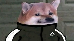 —Кто носит фирму адидас..🥴(наверно я буду чаще пропадать, а то и видео, и школа..)