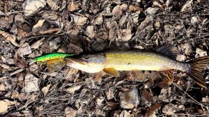 ОТКРЫТИЕ СЕЗОНА 2026 ПО СПИННИНГУ / ПЕРВЫЕ ЩУКИ СЕЗОНА /