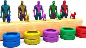 Детское образование — Изучаем цвета и цифры на английском языке вместе с Человеком-пауком и Кошками