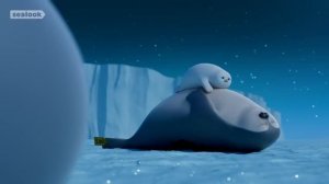 CUTENESS EXPLOSION Baby Seal Special SEALOOK  Episodes Compilation