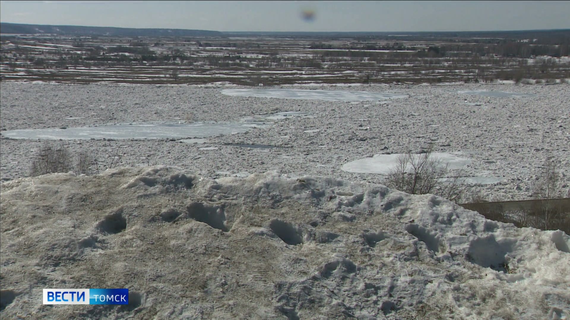 Вести-Томск, выпуск от 11.04.2026 20:50