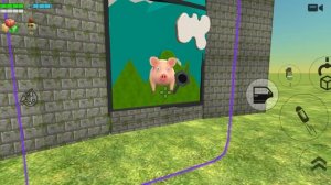 задаю вопросы котану