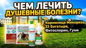 Гармония внутри и снаружи. Секреты от Республиканской клинической психиатрической больницы Уфы