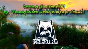 Русская рыбалка 4. Комариное. Сегодня ловим троф Лещей на Комарином ))
