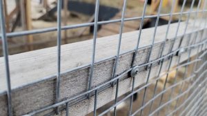 3. Городская ферма ВДНХ (4)