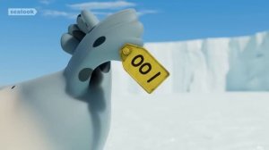 SEALOOK ⭐FULL EPISODES⭐ㅣSEALOOKㅣ90MIN Episodes Compilation