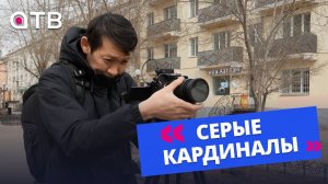 Серые кардиналы. Операторы и режиссеры монтажа АТВ