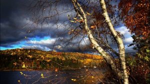 Б. Пастернак. Сон