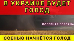 Посевная в Украине сорвана. Колобок из Одессы